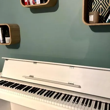 Maison De Maitre Avec Grande Terrasse Au Centre-ville