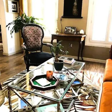 Maison De Maitre Avec Grande Terrasse Au Centre-ville Villa