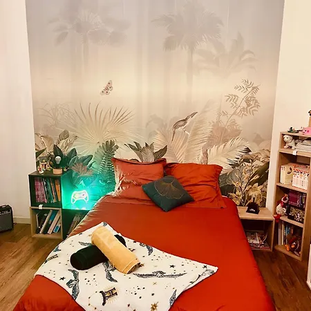 Maison De Maitre Avec Grande Terrasse Au Centre-ville Villa Perpignan